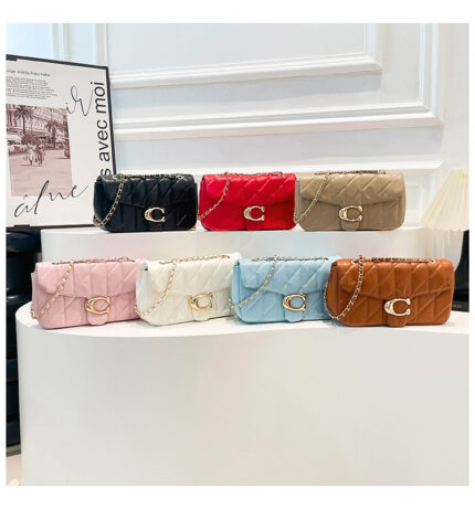 Luxury coach bag